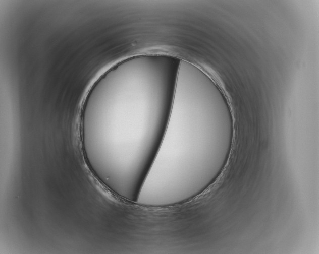 X0000112350816200908131013