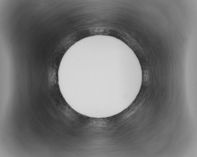 X0000112350820200908131012