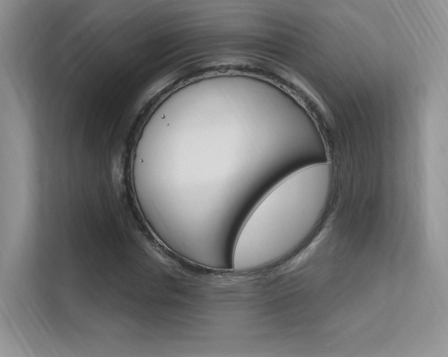 X0000112350826200908131012