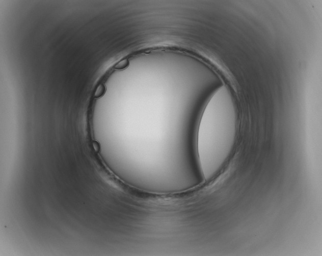 X0000112350834200908131012