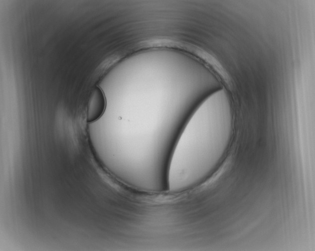 X0000112350841200908131012