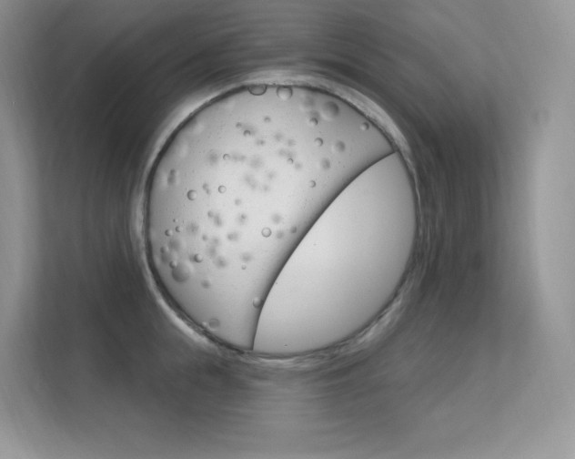 X0000112350855200908131013