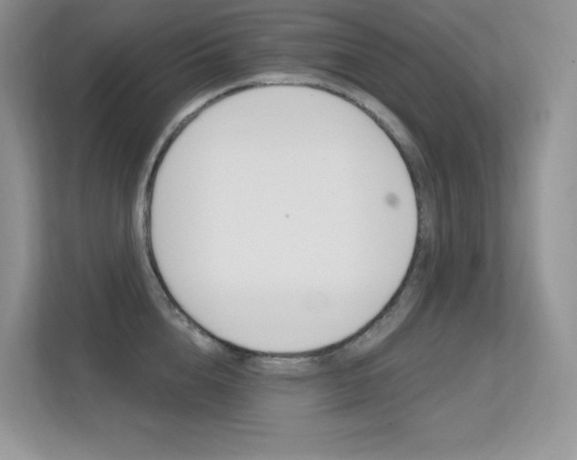 X0000112350856200908131013