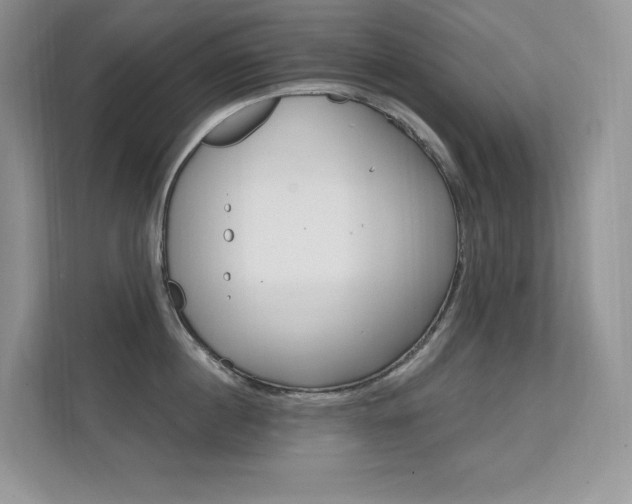 X0000112350860200908131013