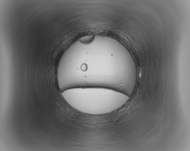 X0000112350867200908131012