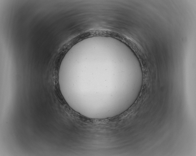 X0000112350870200908131012