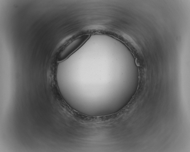 X0000112350872200908131012