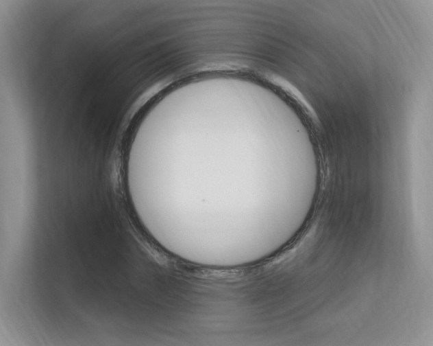 X0000112350874200908131012