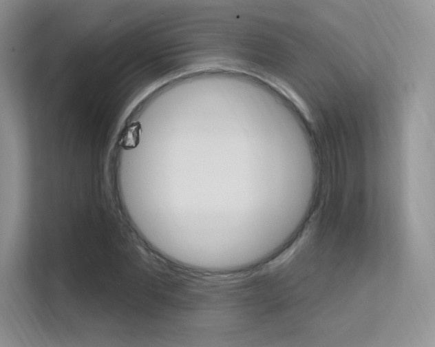 X0000112350877200908131012