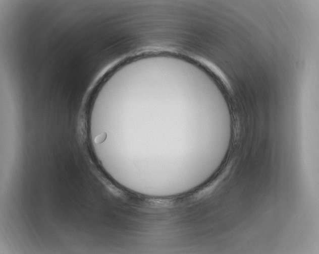 X0000112350878200908131012