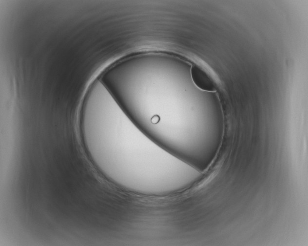 X0000112350885200908131012