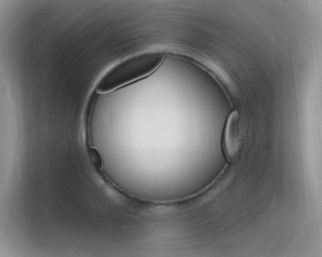 X0000112350888200908131012