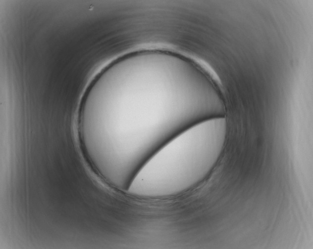 X0000112350895200908131012