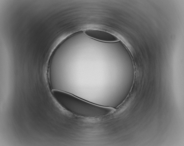 X0000112350901200908131012