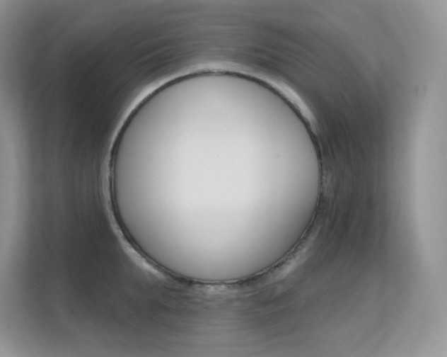 X0000112350903200908131012