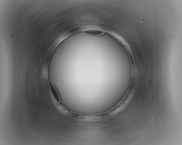 X0000112350905200908131012