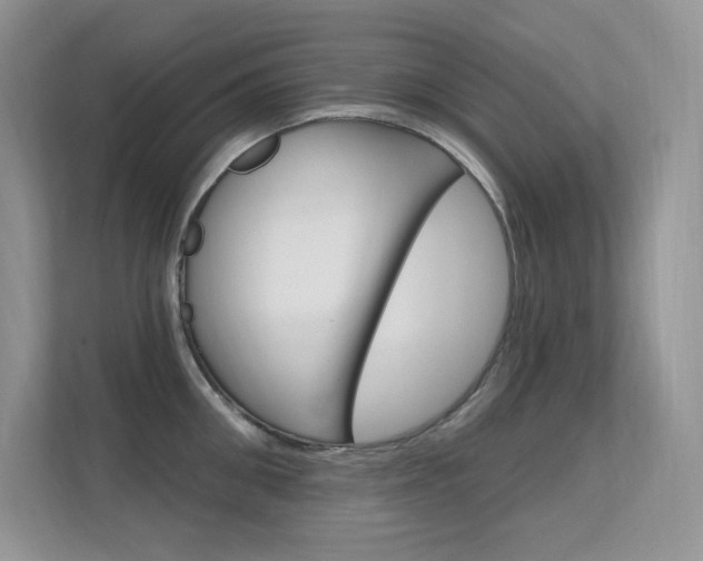 X0000112350906200908131012