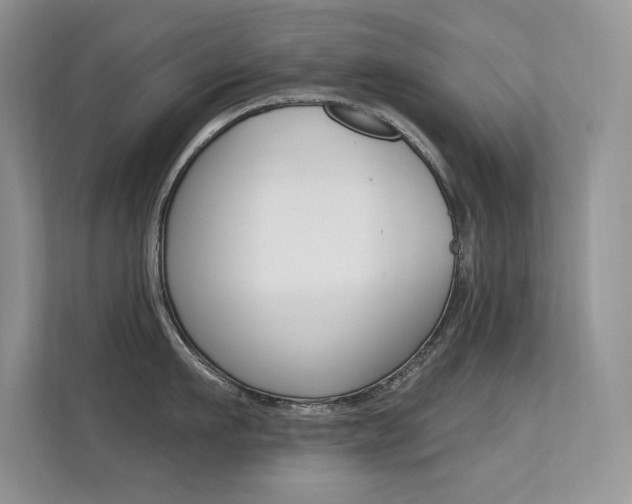 X0000112350911200908131012