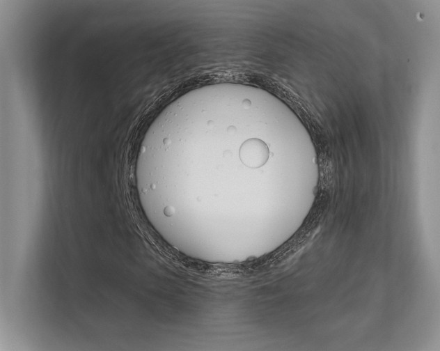 X0000112350913200908131011