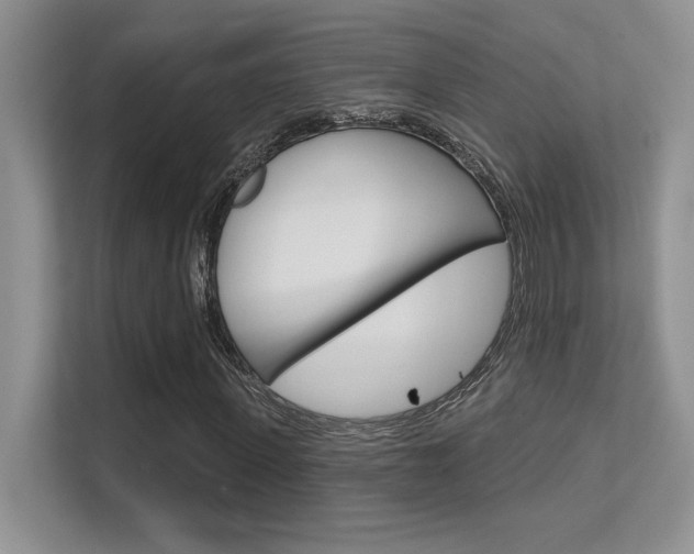 X0000112350915200908131011