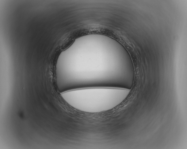 X0000112350916200908131011