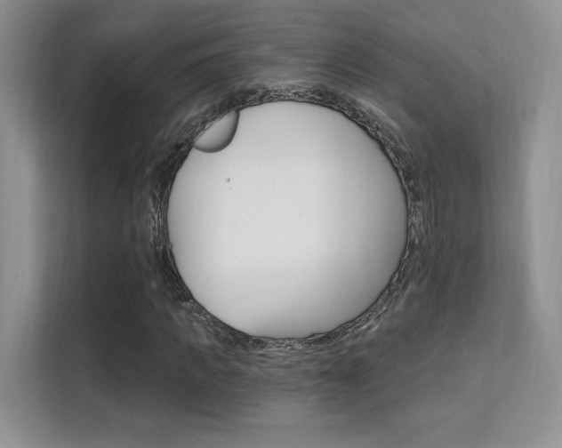 X0000112350917200908131011