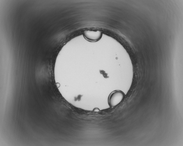 X0000112350918200908131011