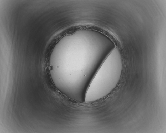 X0000112350920200908131011