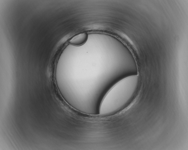 X0000112350922200908131011