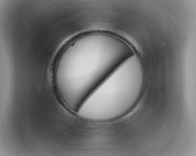 X0000112350926200908131011