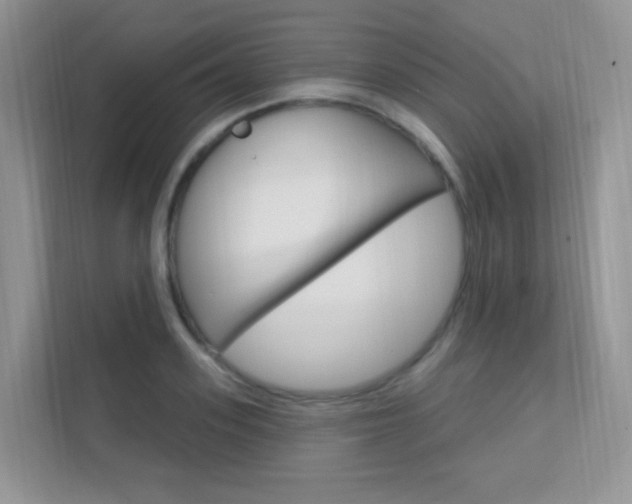 X0000112350939200908131011