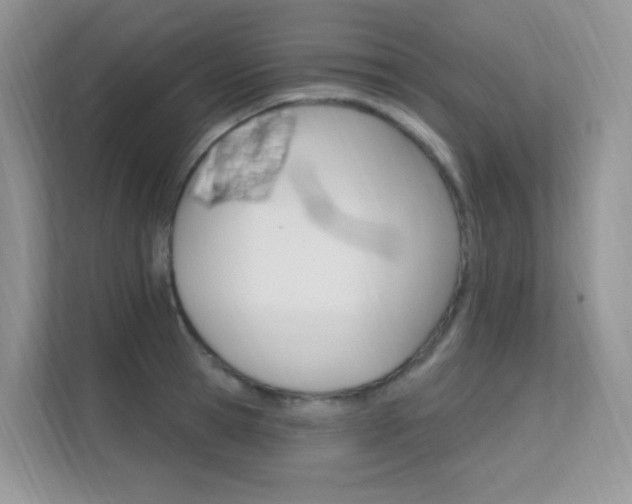 X0000112350945200908131011