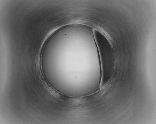 X0000112350948200908131011