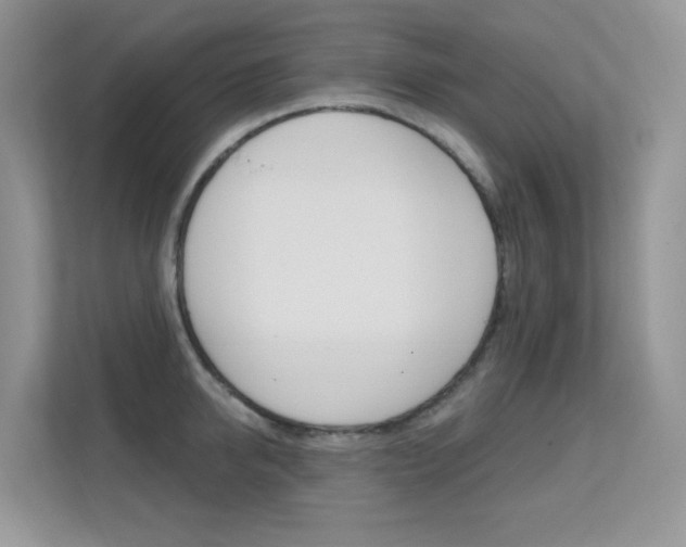 X0000112350950200908131011
