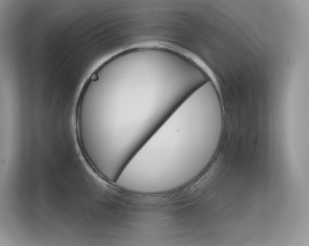 X0000112350951200908131011