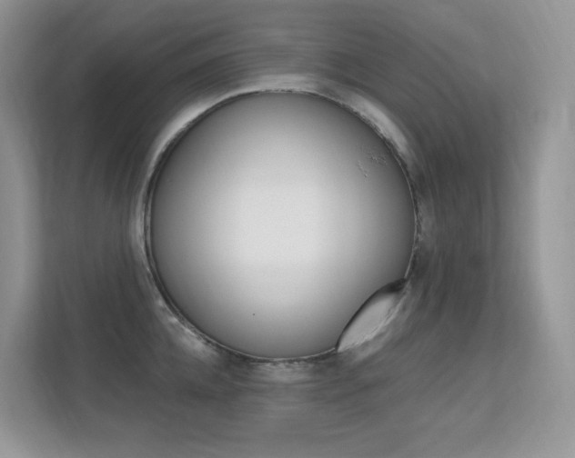 X0000112350952200908131011