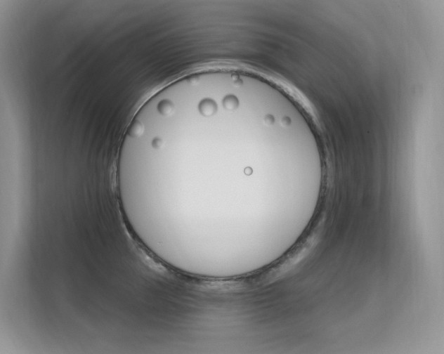X0000112350953200908131011
