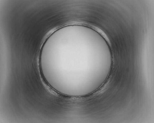 X0000112350954200908131011