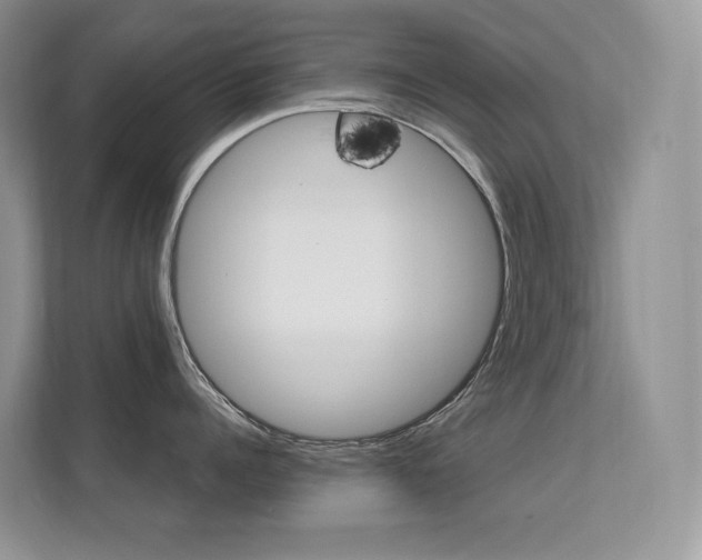 X0000112350960200908131011