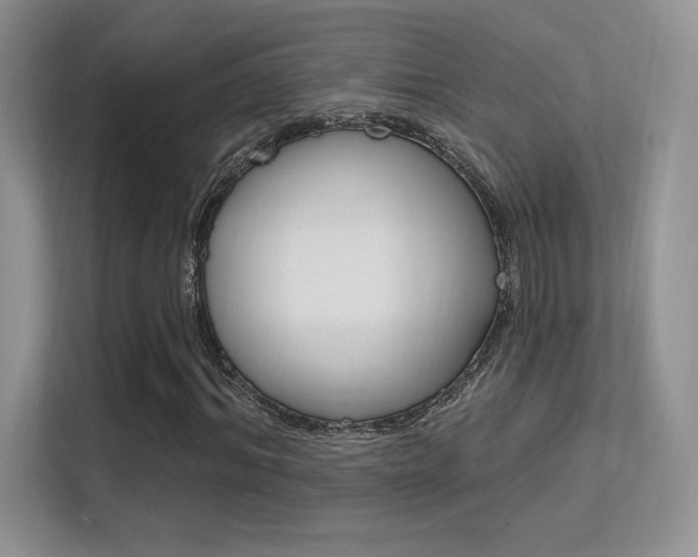 X0000112350964200908131011
