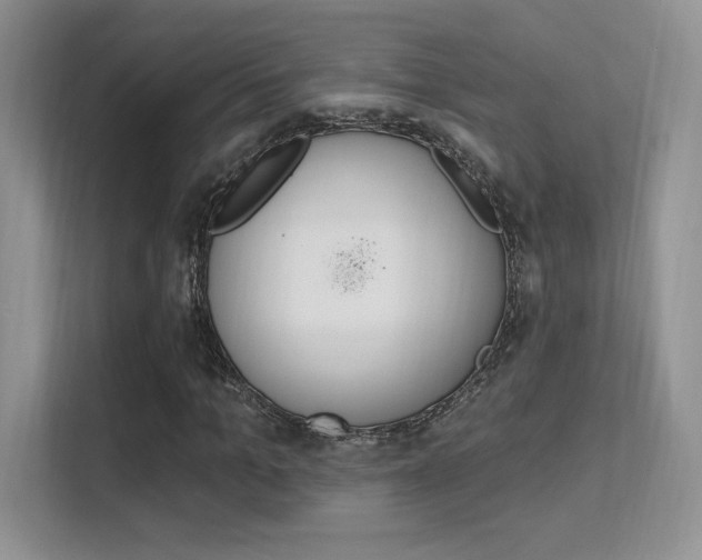 X0000112350965200908131011