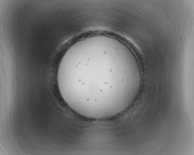 X0000112350967200908131011