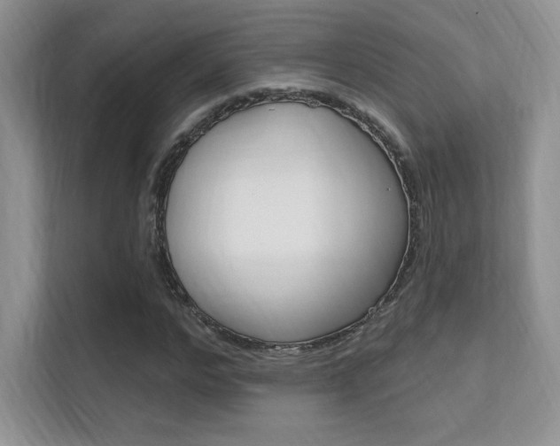 X0000112350968200908131011