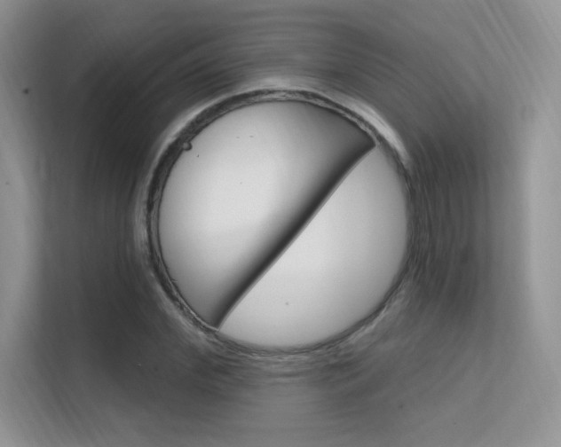 X0000112350972200908131011
