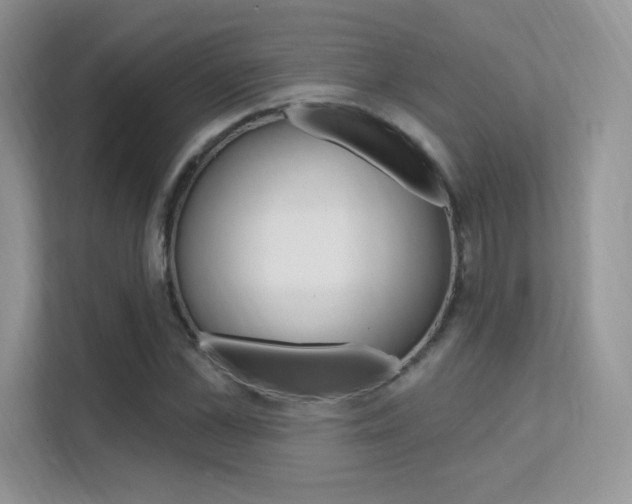 X0000112350973200908131011