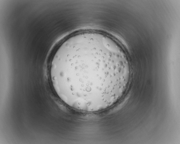X0000112350974200908131011