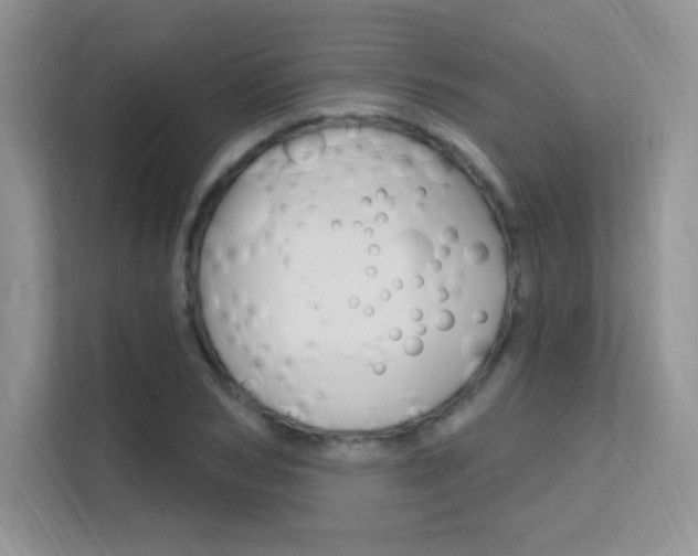 X0000112350978200908131011