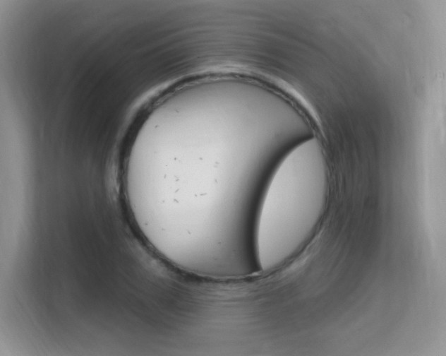 X0000112350979200908131011