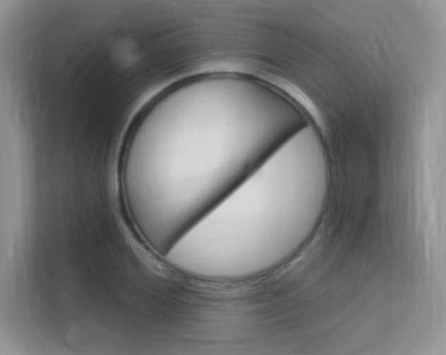 X0000112350980200908131011