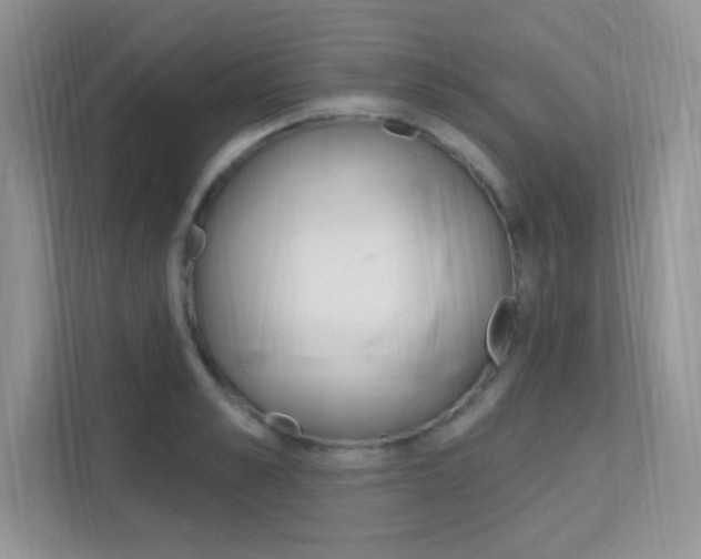 X0000112350989200908131010